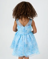 Rare Editions Toddler and Little Girls Floral Organza Social Dress