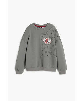 Desigual Boys Boys's Spiderman patch sweatshirt