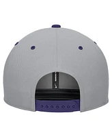 Nike Men's White/Gray Kansas State Wildcats Pro Performance Snapback Hat