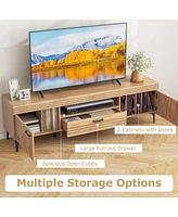 Tv Stand for 65 Inch TVs Modern Entertainment Center with Drawer 2 Storage Cabinets