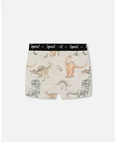 Boy Printed Cotton Boxer Shorts Dinosaur On Mottled And Tan Background - Toddler|Child