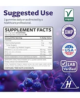 Elderberry Gummies with Vitamin C & Zinc, Immune Support Supplement for Adults, Raspberry Flavor, Health's Harmony, 60ct