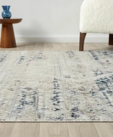 Lr Home Lainey Washable Lan-272 7'9''x9'9'' Area Rug