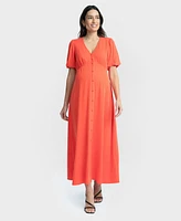 Seraphine Women's Maternity and Nursing Dress