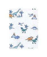 Hudson Baby Boys Cotton Flannel Burp Cloths 12-Pack Bundle, Pastel Dino, One Size