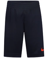 Nike Little Boys 2-Piece Dri-fit Dropset T-Shirt and Shorts Set