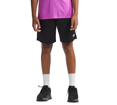 The North Face Big Boys Never Stop Shorts