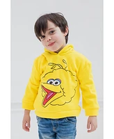 Sesame Street Toddler Boys Fleece Pullover Hoodie