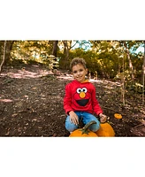 Sesame Street Baby Boys Fleece Pullover Hoodie