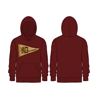 Harry Potter Men's Gryffindor Pennant Pullover Hooded Sweatshirt-x-Large