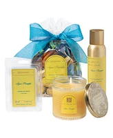Aromatique Agave Pineapple Standard Decorative Fragrance Bag