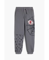 Desigual Boys Boys's Spiderman jogger pants