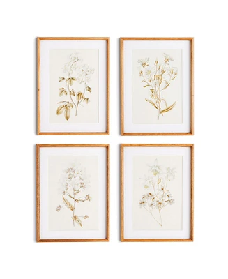 Fleur De Blanc Prints, Set Of 4