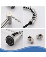 3 Functions Wall Mounted Bridge Kitchen Faucet