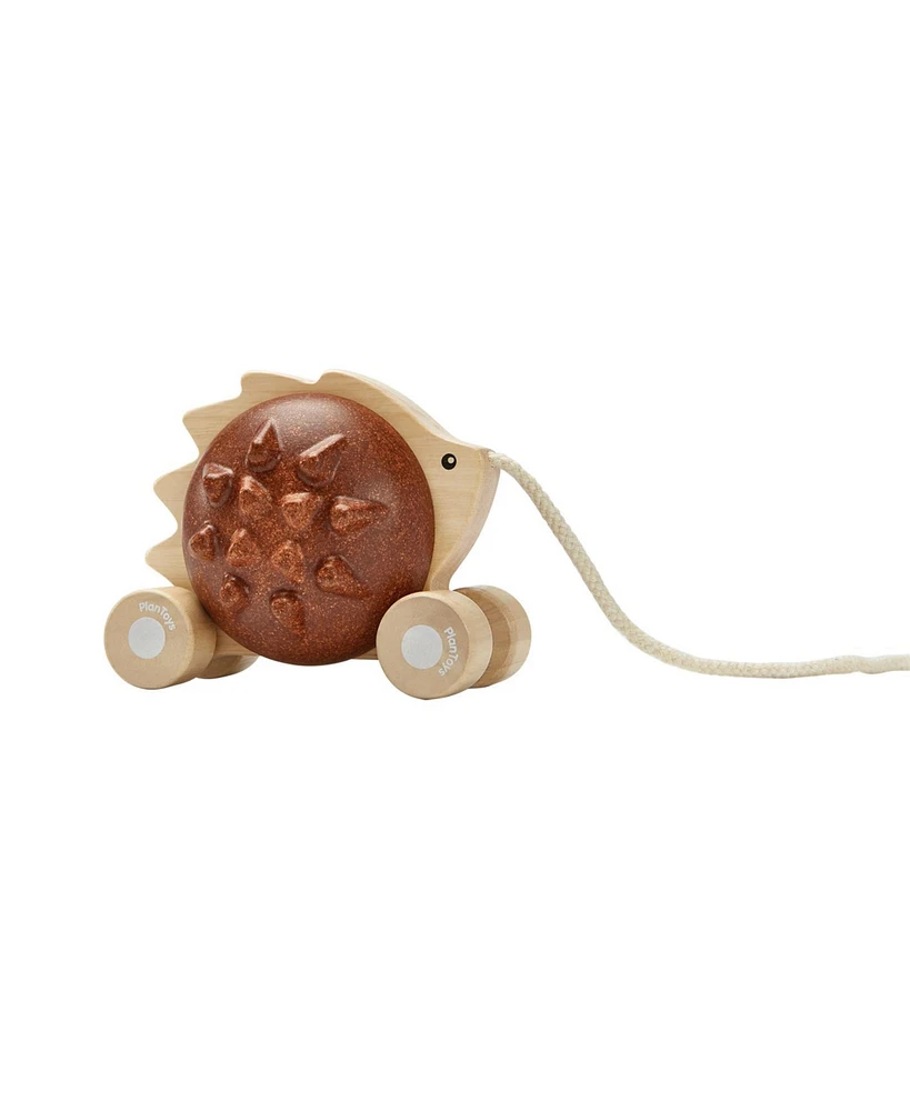 Pull-along Hedgehog