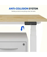 Flexispot E7-commercial 48 W Electric Adjustable Standing Desk, Rubber Wood Top, White Base