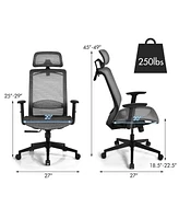 Height Adjustable Ergonomic High Back Mesh Office Chair with Hange