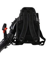 76CC 4 Stroke Gasoline Blower Epa Compliant