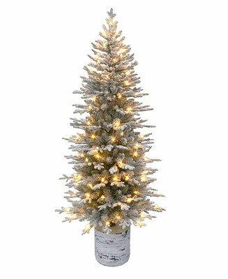 6' Pre-Lit Potted Flocked Arctic Fir Pencil Tree with 120 Color Select Led Lights, 1430 Tips