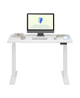 Flexispot E7-commercial 48 W Electric Adjustable Standing Desk, Rectangular Chipboard Top and Base , All White