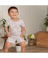Gerber Toddler Boys 2-Piece T-Shirt and Shorts Set, Heather Skateboard