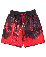 Spider-Man Boys Marvel Pullover Rash Guard and Swim Trunks to