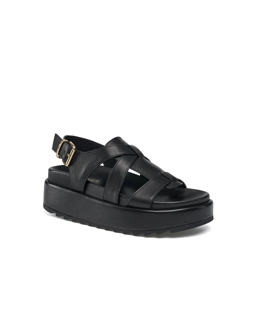 Jslides Sutton