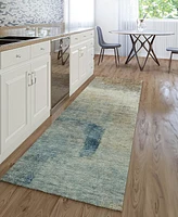 Dalyn Trevi Washable TV5 2'3"x7'6" Runner Area Rug