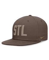 Nike Men's Brown St. Louis Cardinals Statement Ironstone Performance True Fitted Hat
