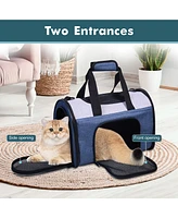Sport Airline Pet Carrier: 16"