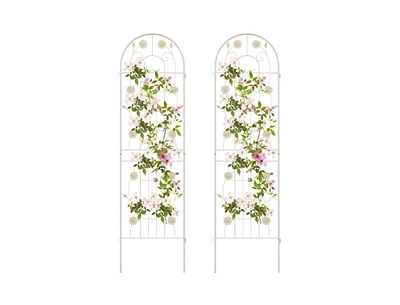 Outdoor Garden Trellis for Climbing Plants and Decorative Support