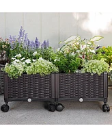 Modern 2-Piece Raised Garden Planter Box on Wheels for Indoor and Outdoor Use