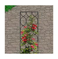 Stylish Metal Garden Trellis for Modern Outdoor Spaces