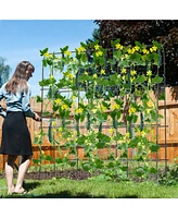 U-Shaped Tall Garden Arched Trellis for Climbing Plants