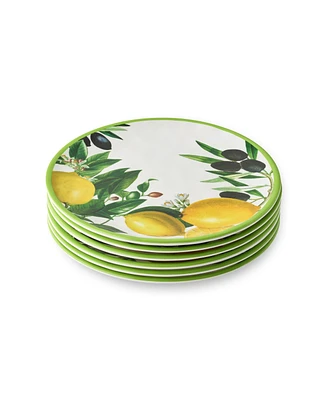 Certified International Limone Melamine 6-Pc. Salad Plates, Service For 6