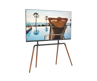 ProMounts Premium Easel Tv Stand Mount for 42"-84" TVs and Holds Up to 99 Lbs