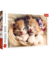 Trefl Red 500 Piece Jigsaw Puzzle - Sleeping Kittens