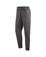 Nike Men's Gray Tampa Bay Rays Authentic Collection Travel Player Performance Pants