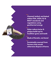 Lamb Horn Dog Chew - Large