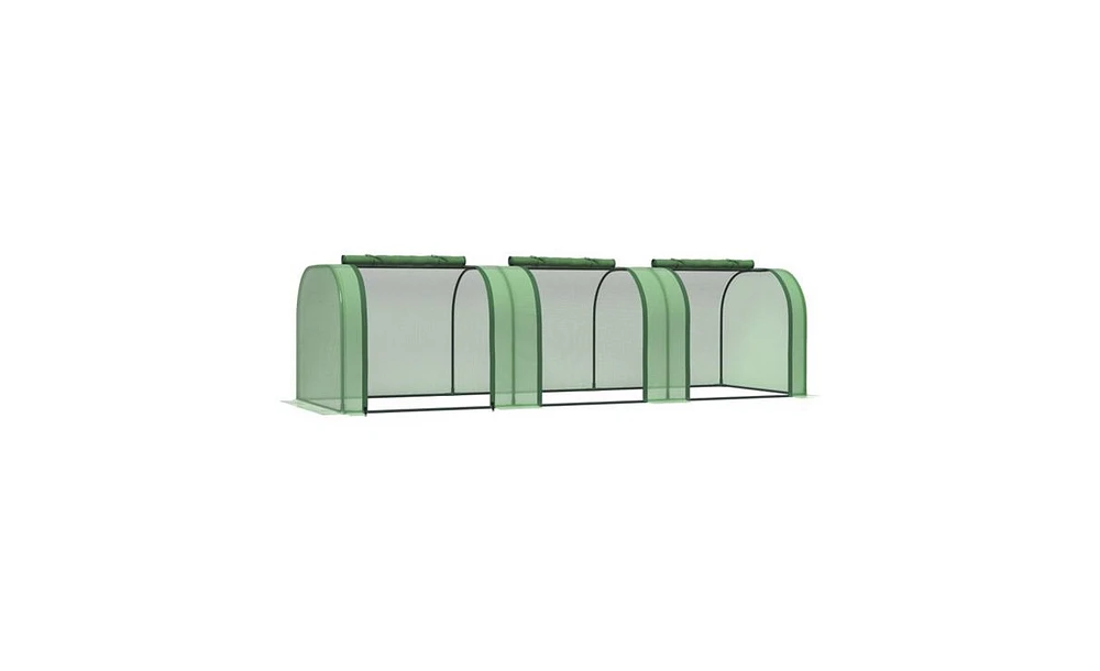 Mini Greenhouse for Plants Perfect Small Spaces and Urban Gardening