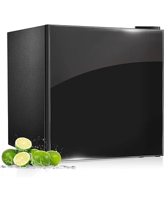 Zafro Compact Refrigerator with Freezer, 1.6 cu ft Reversible Door Mini Fridge for Dorm, Office, Bedroom, Bar, Rv