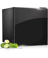 Zafro Compact Refrigerator with Freezer, 1.6 cu ft Reversible Door Mini Fridge for Dorm, Office, Bedroom, Bar, Rv