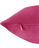 Nestl Elegant Velvet Removeable Cover 2-Pack Decorative Pillows