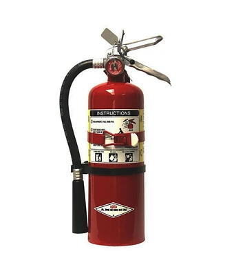 Amerex B500T, 5lb Abc Dry Chemical Fire Extinguisher with Aluminum Valve & Wall Bracket