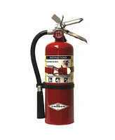 Amerex B500T, 5lb Abc Dry Chemical Fire Extinguisher with Aluminum Valve & Wall Bracket