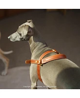 Kandog Handle Harness