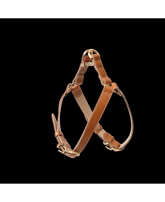 Kandog Roma Harness