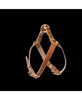 Kandog Roma Harness