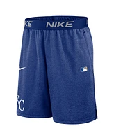 Nike Men's Royal Kansas City Royals Authentic Collection Performance Knit Shorts
