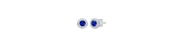 Classy Cubic Zirconia Round Halo Stud Earrings